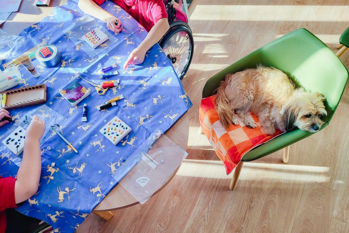 Besuchshund und Kinder beim Spielen