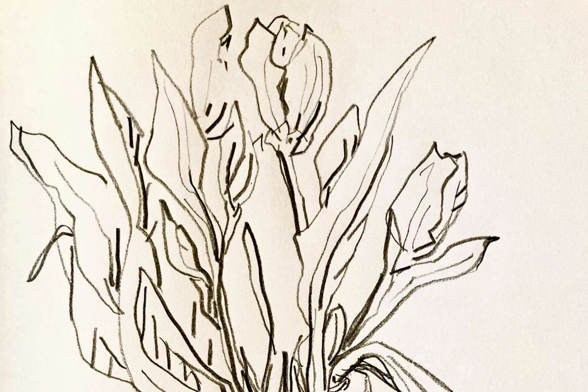 Skizze von Blumen